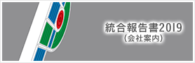 統合報告書2019