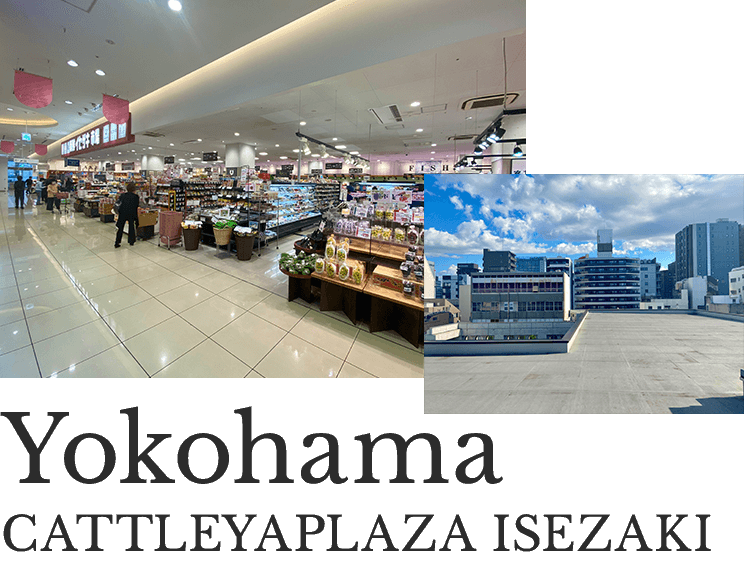 YOKOHAMA CATTLEYAPLAZA