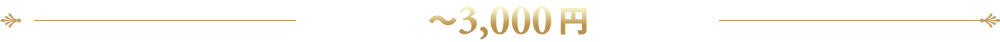 ～3,000円